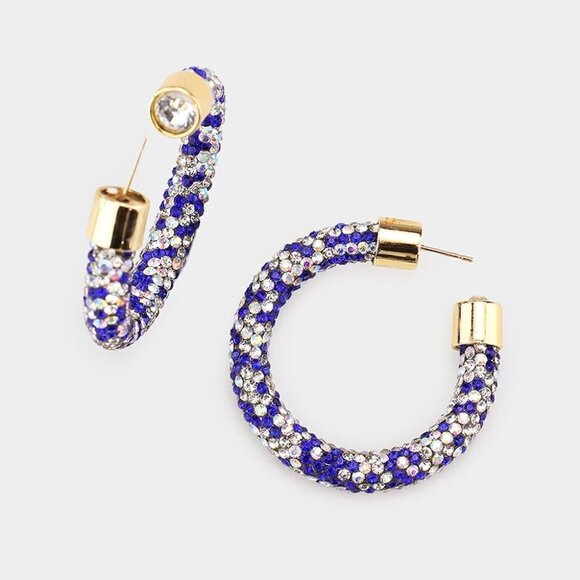 NWT Blue Sapphire Wite Rhinestone Embellished Hoop Earrings - Picture 1 of 6